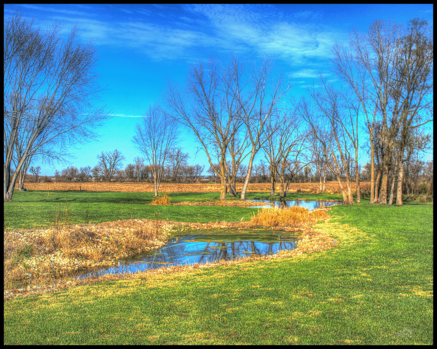 Pond_64