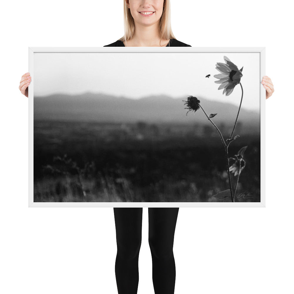 24x36 Framed Poster - A Utah Bee and His Flower