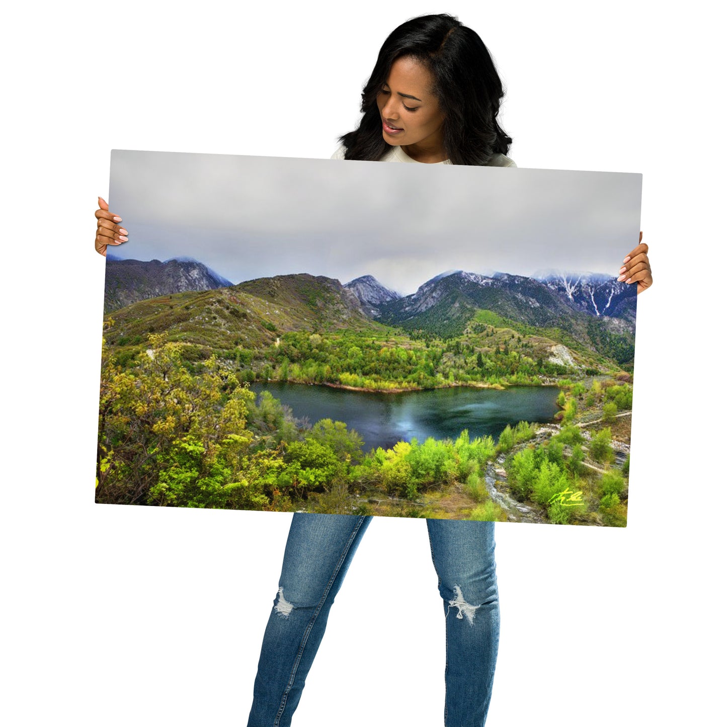 24x36 in - Metal Print - Lovely Bells
