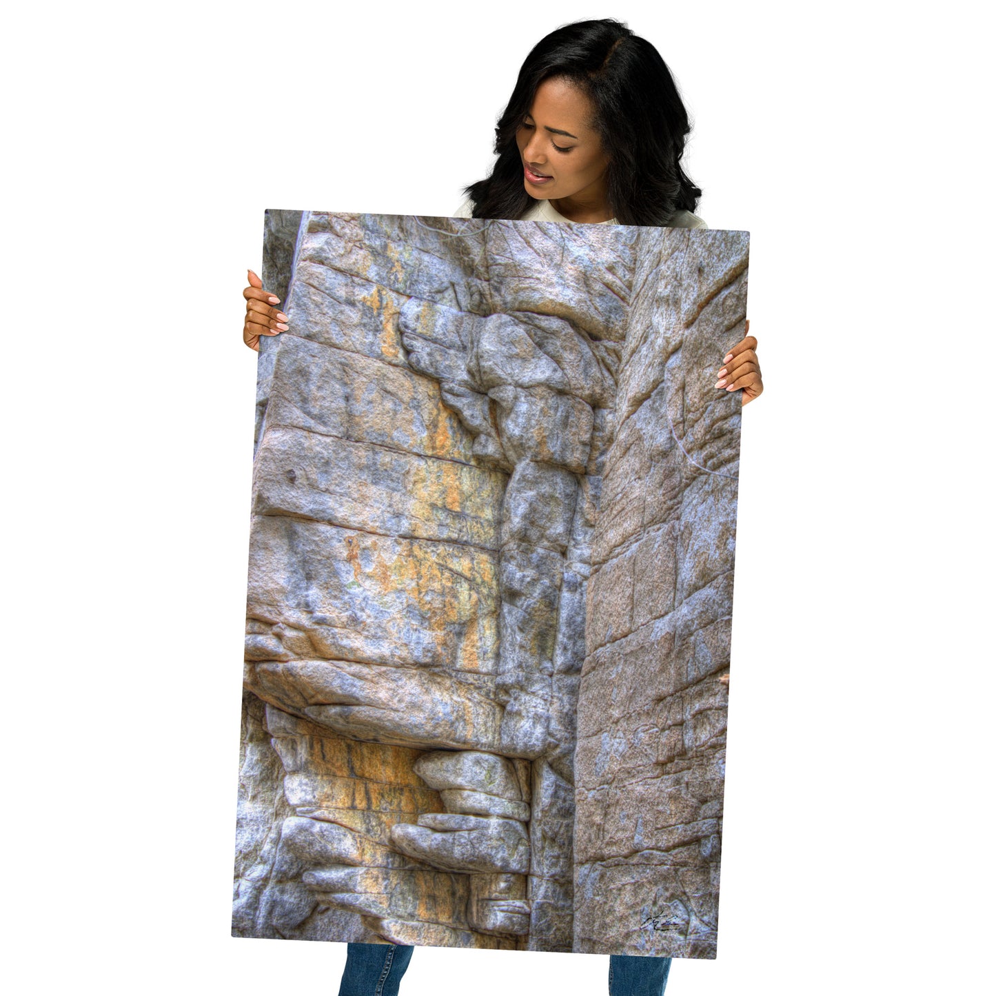 24x36 in - Metal Print - Friend in the Wilderness