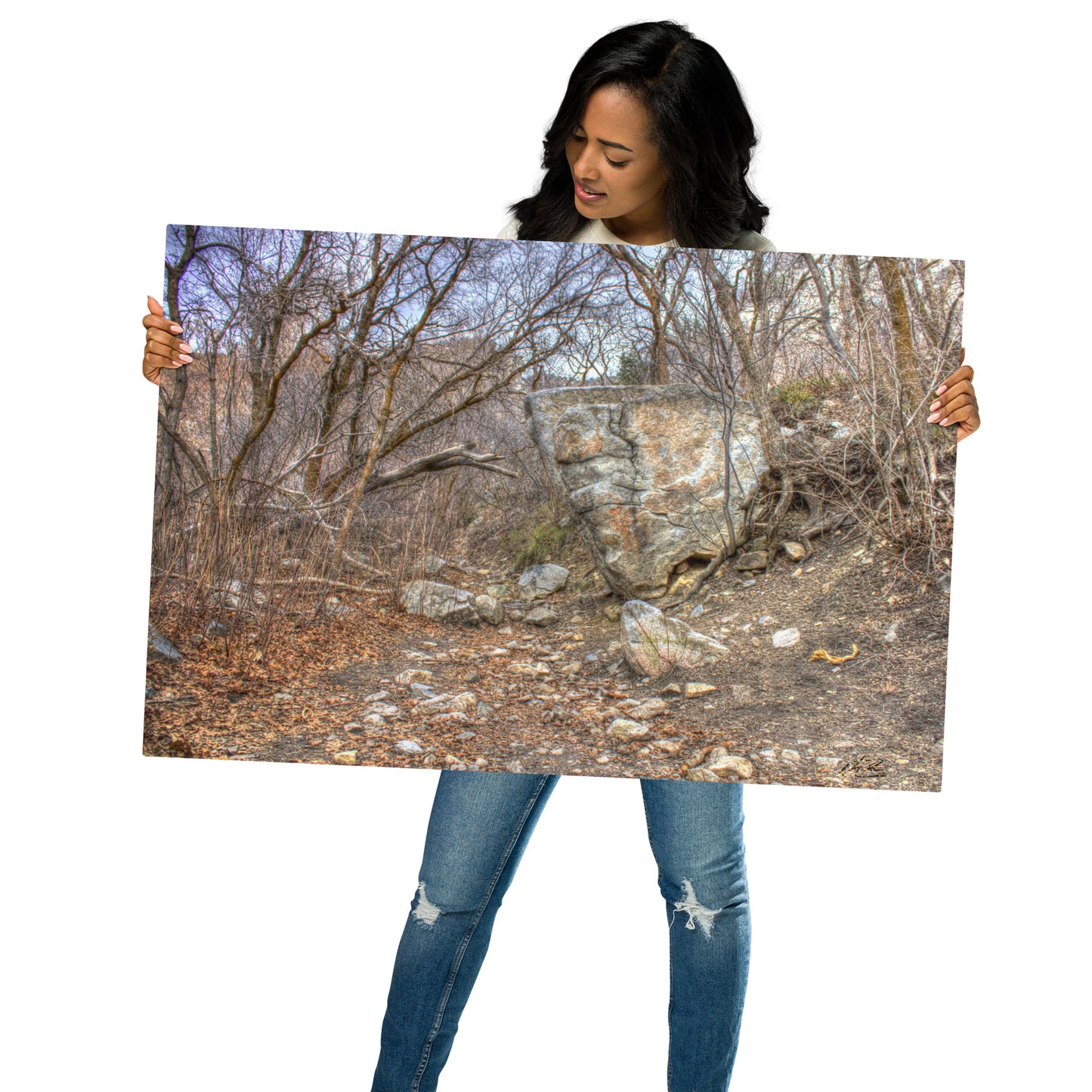 24x36 in - Metal Print - Signs on the Path