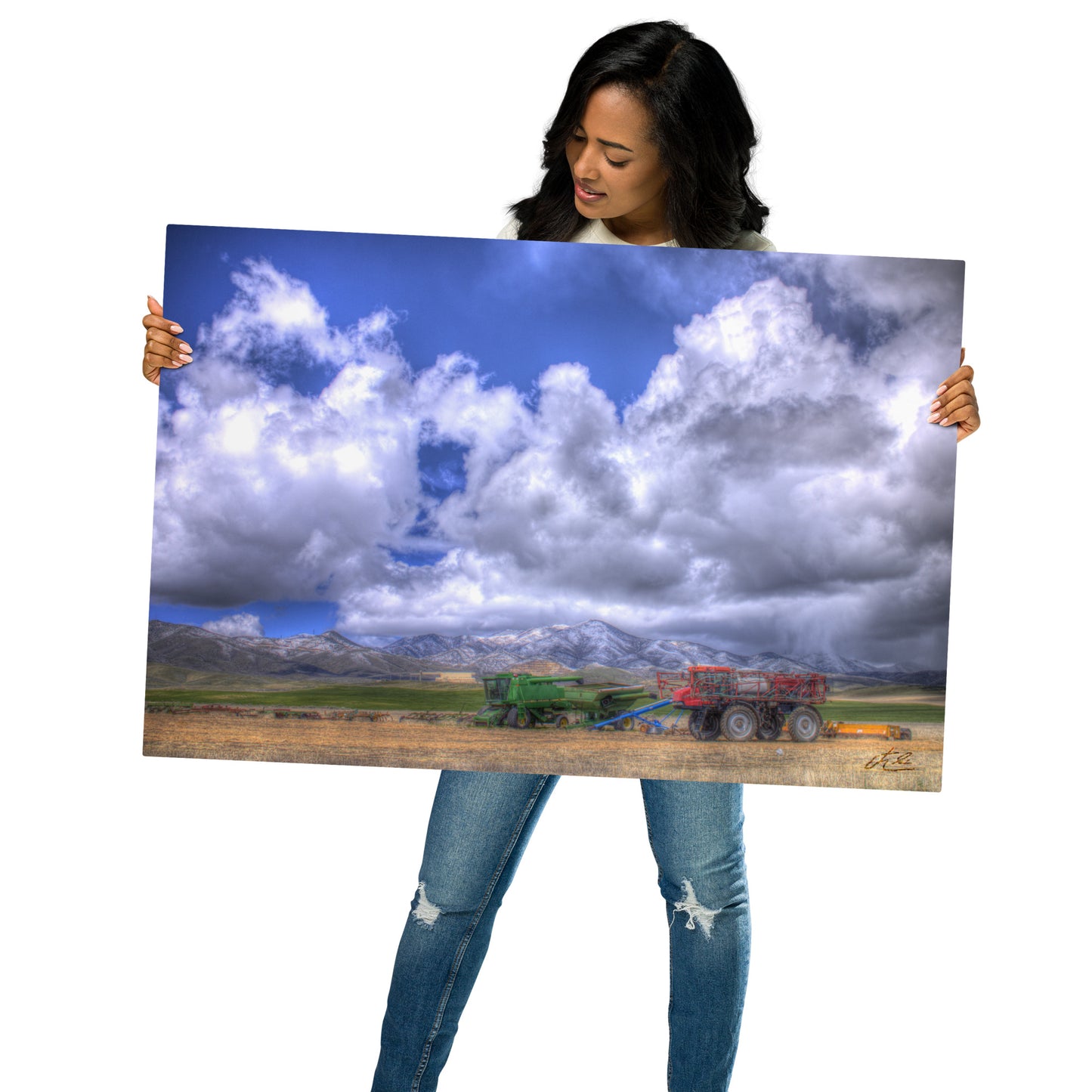 24x36 in - Metal Print - Farm Things