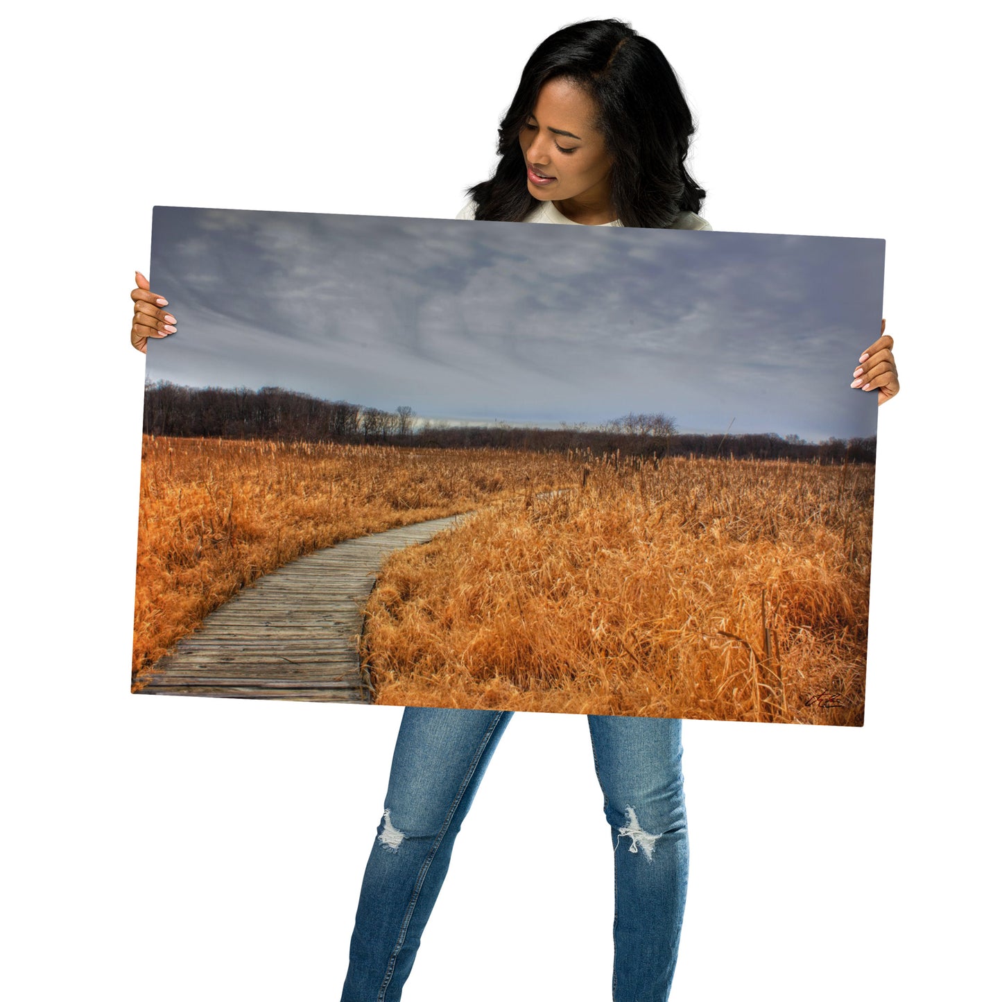 24x36 in - Metal Print - Lake County Paths