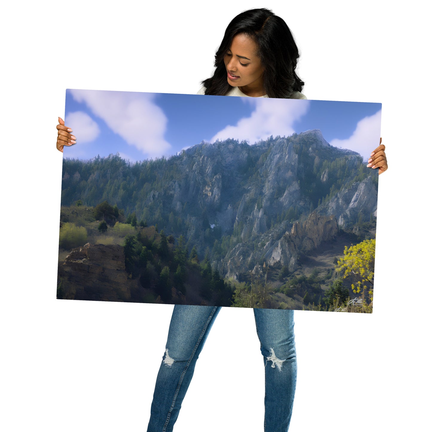 24x36 in - Metal Print - LCC Tops