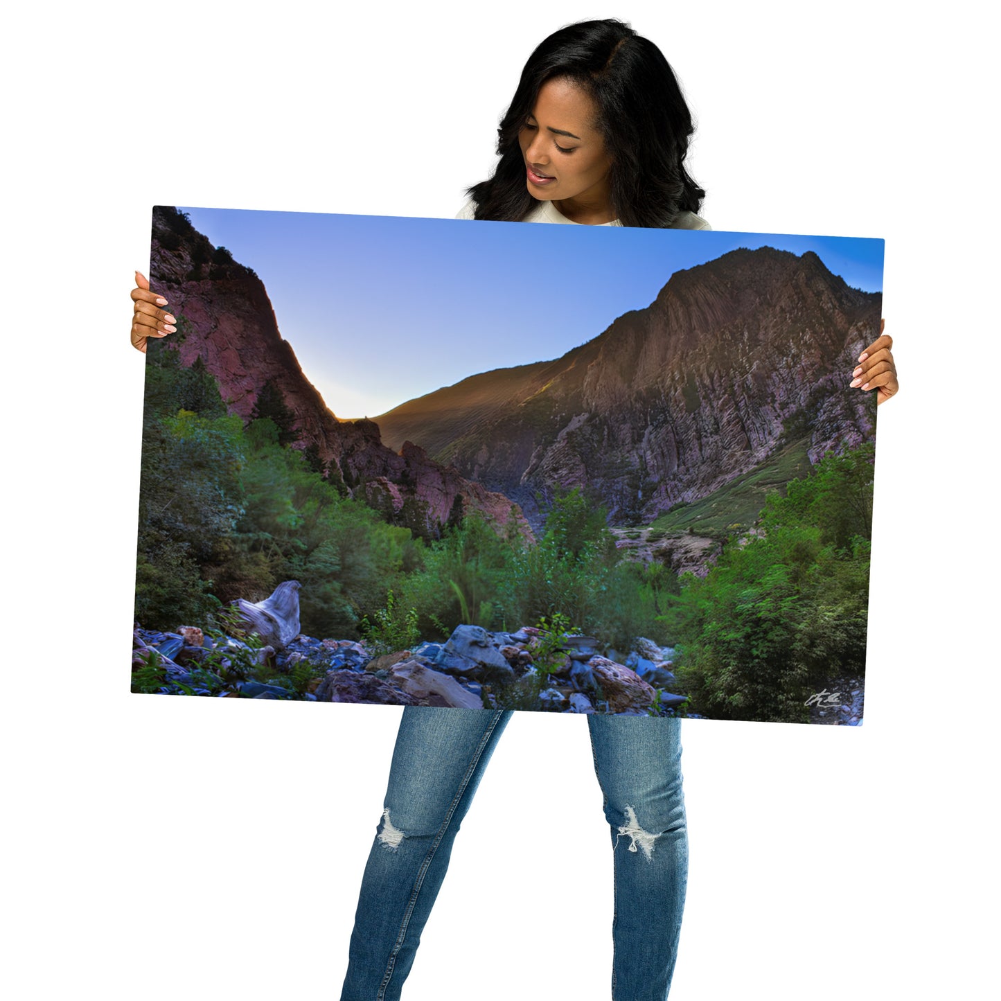 24x36 in - Metal Print - LCC Chair