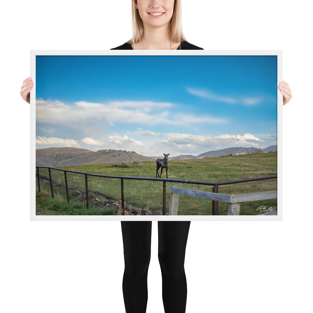 24x36in-Framed photo paper poster luster- If You Give a Moose a Photo ...