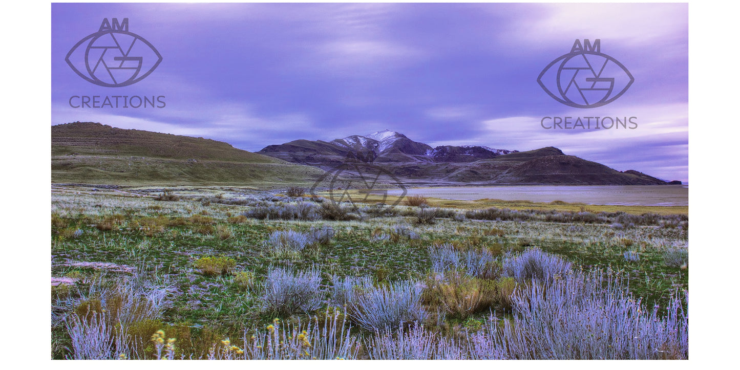 Antelope Island Shoreline