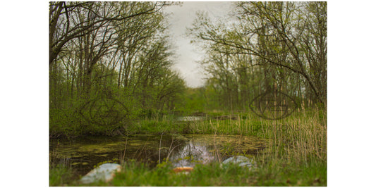 Atomic Wetlands