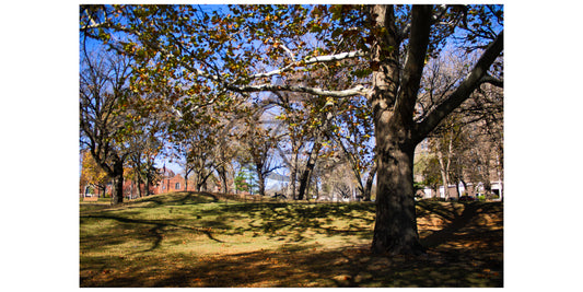 Beattie Park Mounds