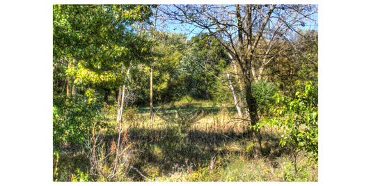 Bethany Gardens