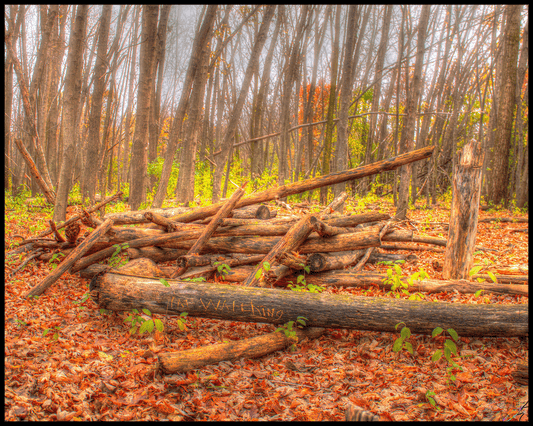 Leon D Larson Woods are Watching. Sycamore, Illinois. Fall 2024