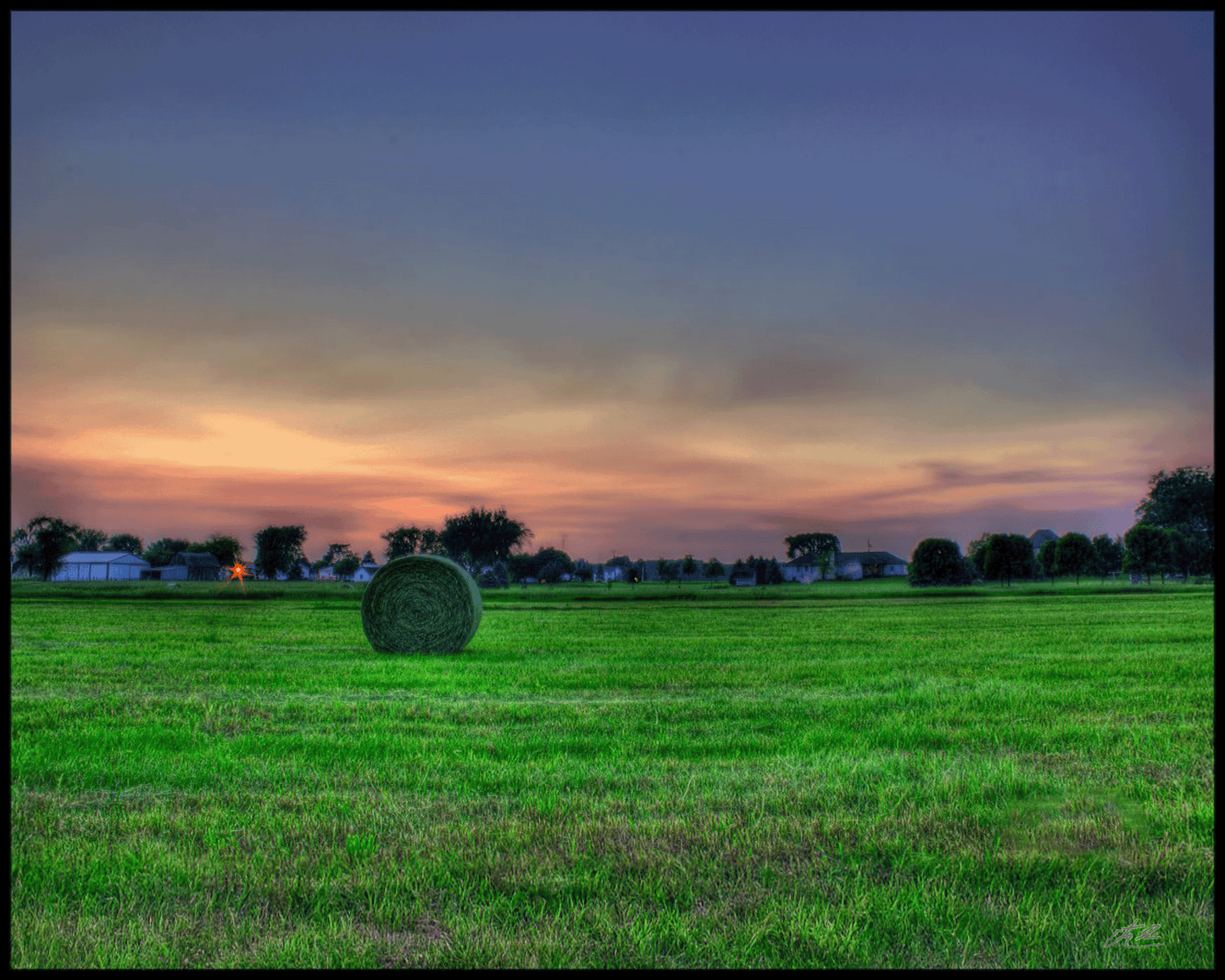 Sycamore Hay Field