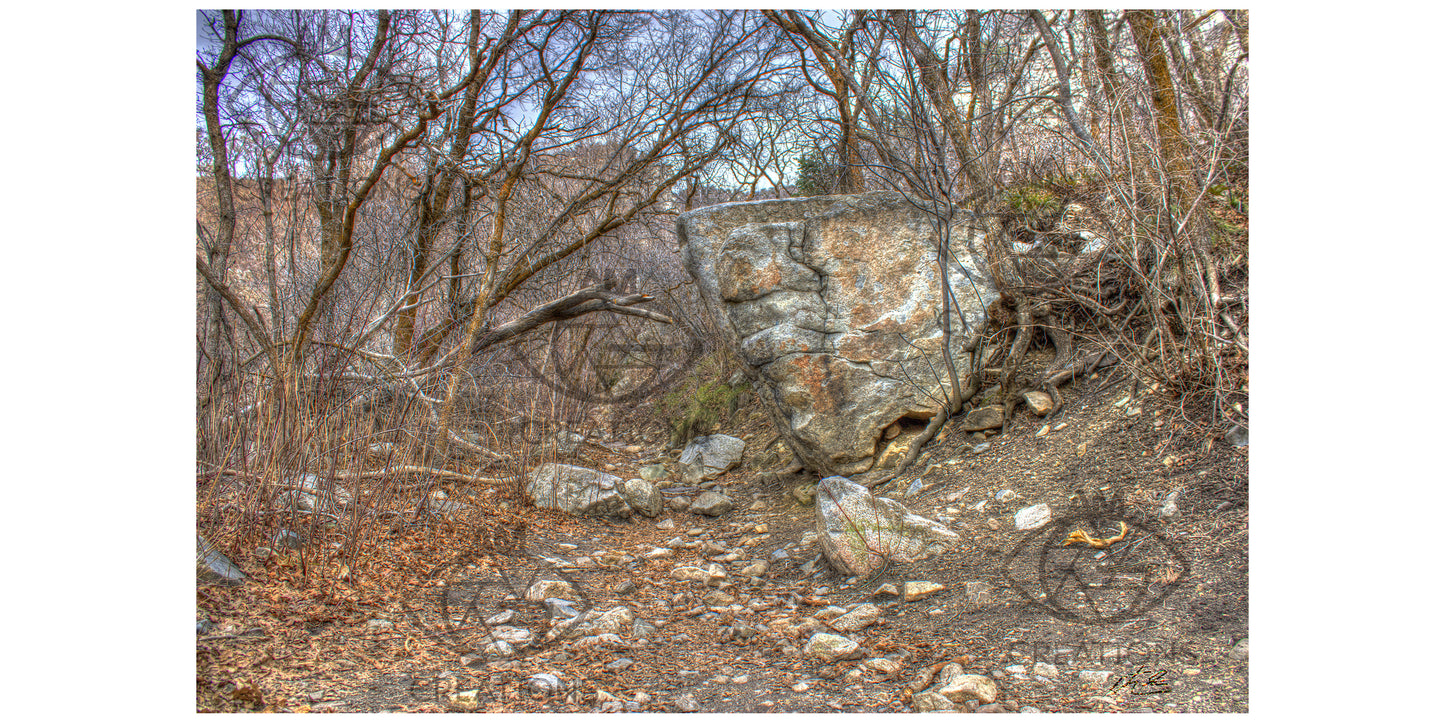 Wilderness Zone Foot