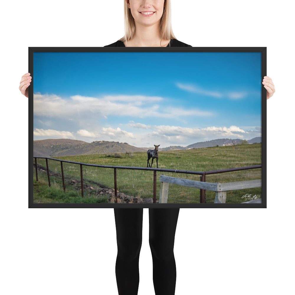 24x36in-Framed photo paper poster luster- If You Give a Moose a Photo ...