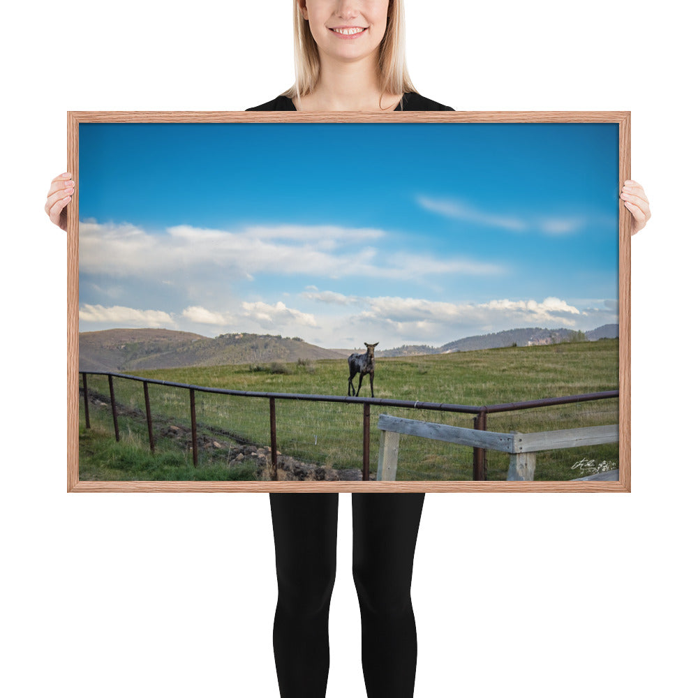 24x36in-Framed photo paper poster luster- If You Give a Moose a Photo ...